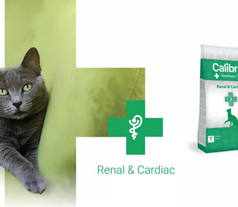 Calibra VD Cat Renal & Cardiac for cats