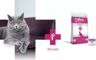 Calibra VD Cat Struvite for cats