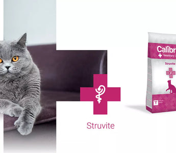 Calibra VD Cat Struvite for cats