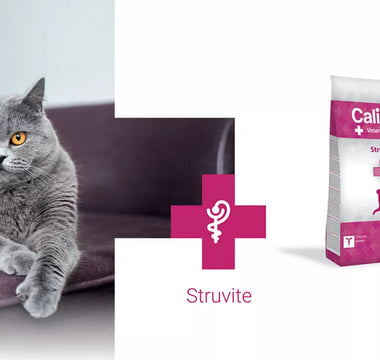 Calibra VD Cat Struvite for cats