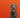 How do I know if my dog has a food allergy?