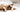 Struvite And Urinary Health In Cats: How Diet And Water Intake Work Together